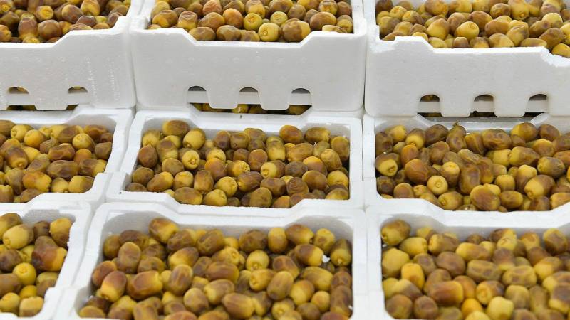 Rutab dates season arrives in Kuwait with early varieties hitting market