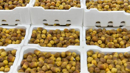 Rutab dates season arrives in Kuwait with early varieties hitting market