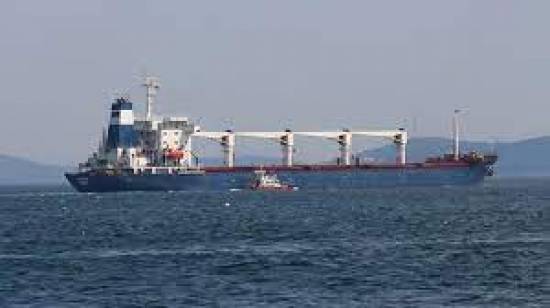 Three grain ships to set sail from Ukrainian ports on Friday: Türkiye