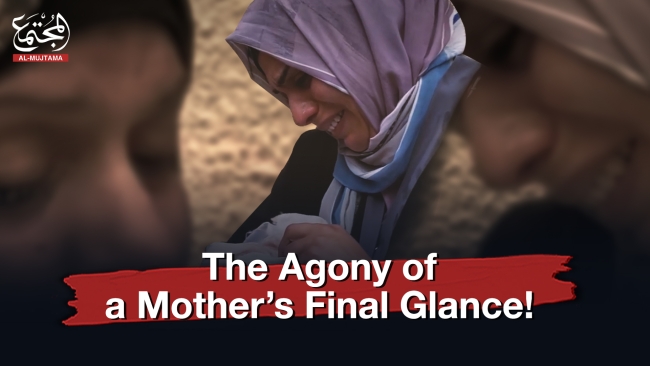 The Agony of a Mother&#039;s Final Glance!