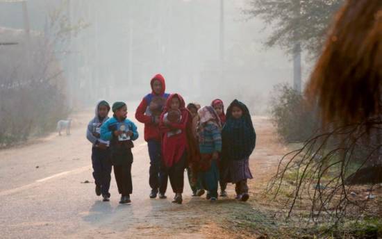 &#039;I will burn myself to death&#039;: Kashmir’s nomads evicted from homes amid anti-Muslim crackdown