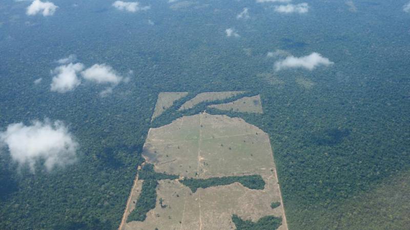 Brazil&#039;s Amazon rainforest &#039;lost&#039; 18 trees per second in 2021