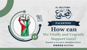 How can We Vitally and Urgently Support Gaza?