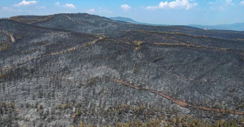 Prospects appear bleak as wildfires deal heavy blow to Turkey’s beekeepers