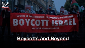 Boycotts and Beyond: Impact on Companies Supporting Israel