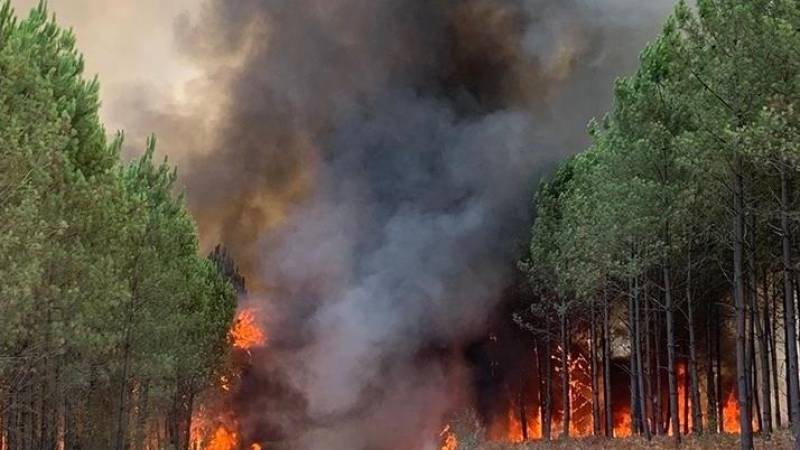 Volunteer firefighter arrested for starting 31 blazes in France
