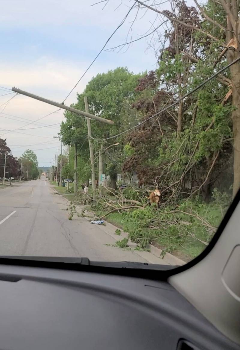 Canada storms kill 8, leave half a million without power