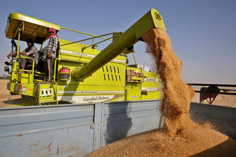 India open to exporting wheat to nations in need despite ban