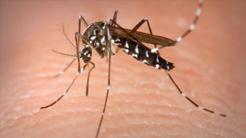 US: Mosquito-borne virus threatens public in Michigan