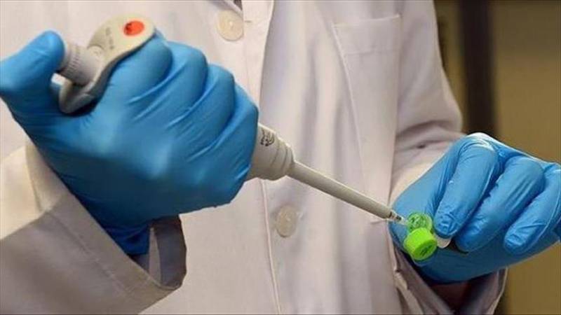 Monkeypox kills 10 in DR Congo