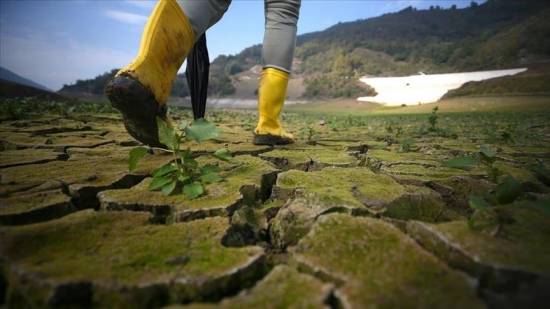 ‘Climate change makes record heatwaves 150 times more likely’