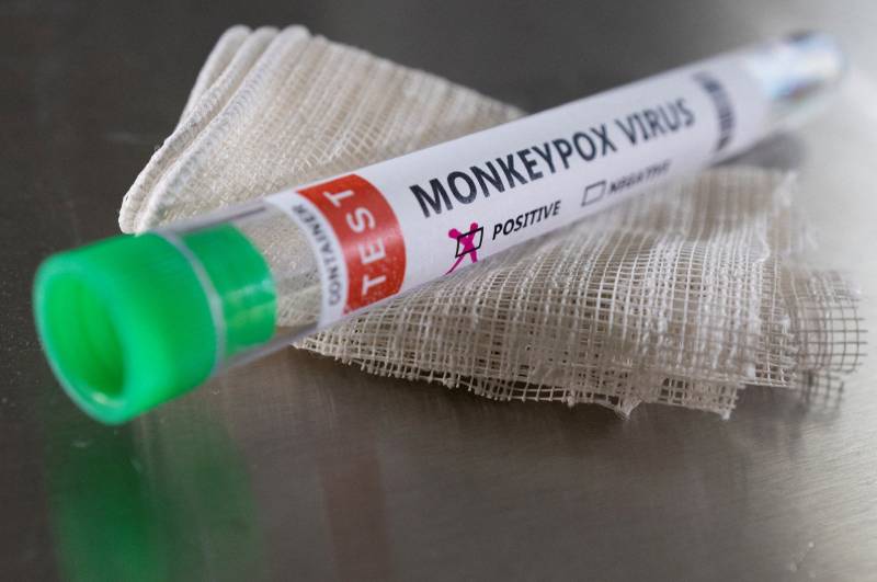 Stopping human transmission key to containing monkeypox: WHO