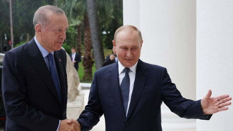 Erdogan: Ankara working with Moscow for grain shipment from Russian ports