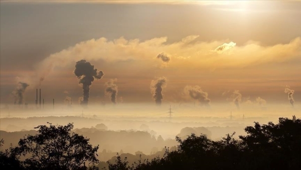 Climate Activists Criticize Africa Carbon Markets Initiative