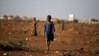 Somalia warns it is facing famine-like conditions