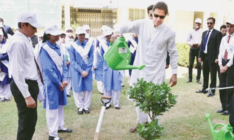 Pakistan’s tree-planting ambition in doubt after Imran Khan’s exit