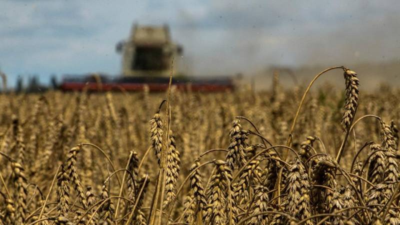 Ukraine exports 370K tonnes of grain in first week under Türkiye deal