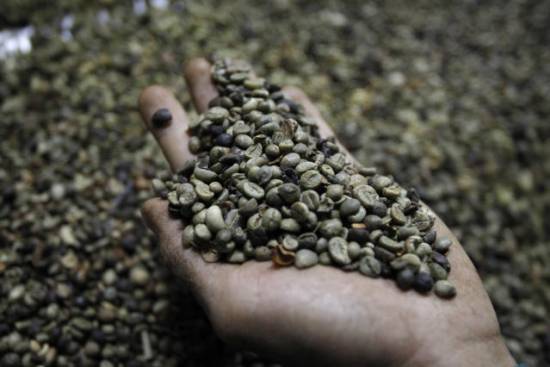 If your coffee&#039;s going downhill, blame climate change