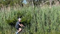 US president falls off bike while cycling in Delaware