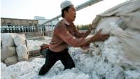 U.S. Bans Cotton, Other Products from Xinjiang, Citing Forced Uyghur Labor