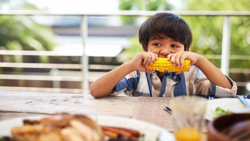 America has an unprecedented free lunch experiment. But schools can&#039;t find food.