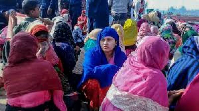 Bangladesh urged to halt Rohingya relocation to island