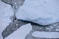 Glacier twice the size of Manhattan breaks off the Arctic&#039;s largest ice shelf