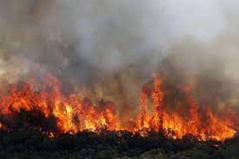 Volunteer fireman accused of starting forest fires in south of France
