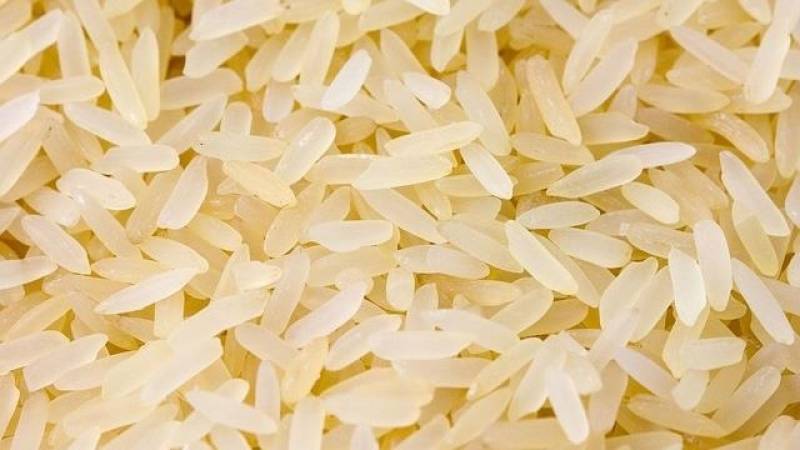 Russia mulls banning rice exports