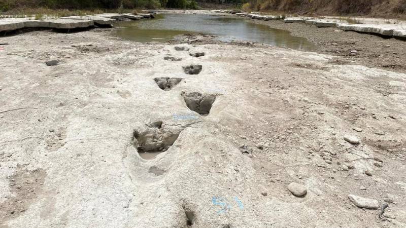 US: Texas drought peels back river to expose giant dinosaur tracks