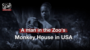 A man in the Zoo&#039;s Monkey House in USA