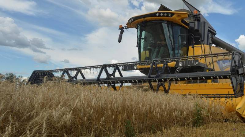 Ukraine has $10B worth of grain available — Zelenskyy