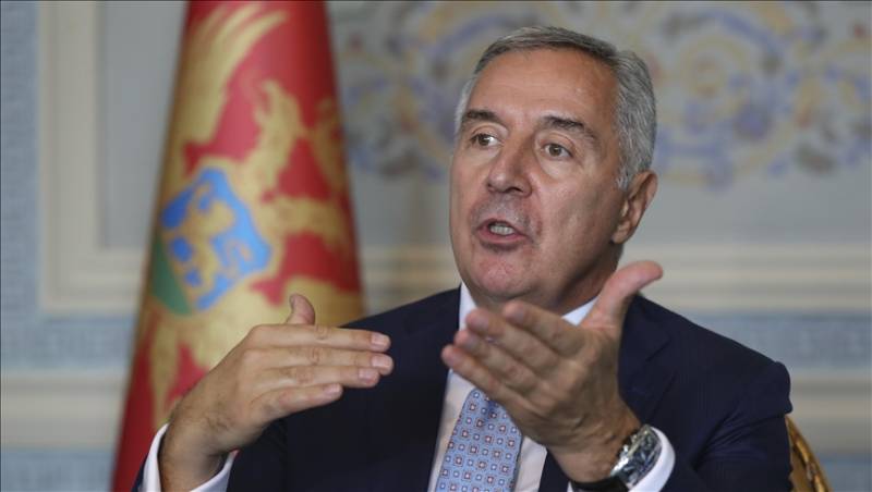 Türkiye, Montenegro share possibility for intensive regional cooperation: Montenegrin president