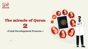 The miracle of Quran (part 2) Fetal Development Process