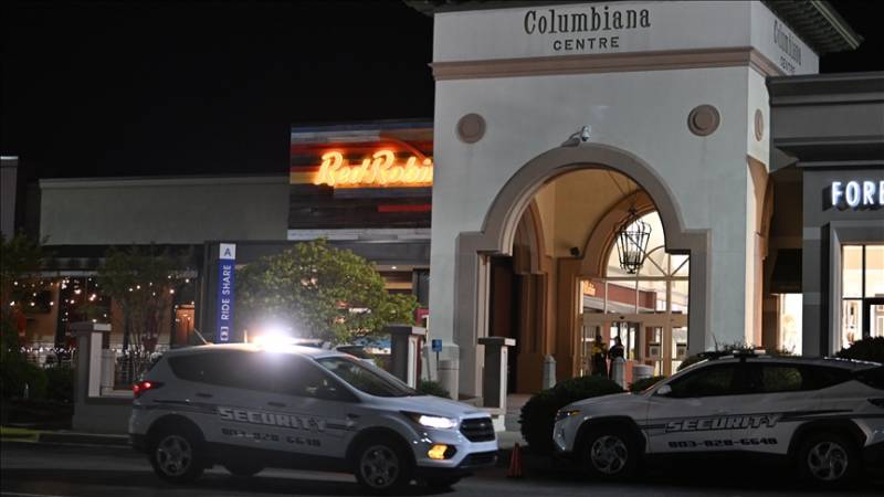 10 shot in shopping mall in US state of South Carolina