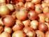 Facebook&#039;s nudity-spotting AI mistook a photo of some onions for &#039;sexually suggestive&#039; content