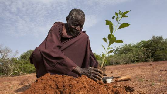 West Africa food insecurity demands climate-smart response amid multiple crises