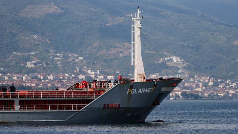 Turkish-flagged ship carrying Ukrainian grain arrives in northern Türkiye