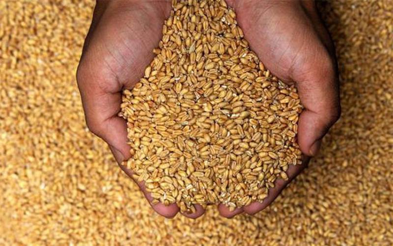 Kuwait will ask India to exempt it from the wheat export ban