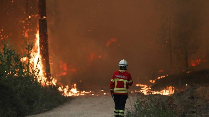Portugal reports 1,000 deaths due to ongoing heatwave