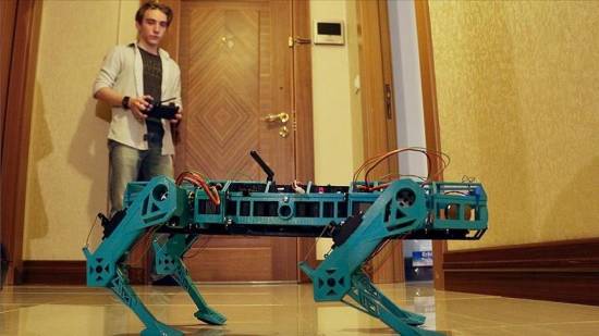 Turkish high school student develops modular robot dog