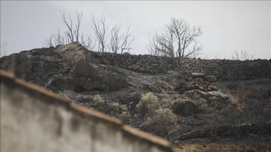 5 towns evacuated as wildfire rages in western Spain