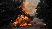 Forest fires burn swathes of land in Syria, Lebanon