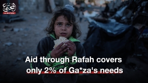 Aid through Rafah covers only 2% of Gaza&#039;s needs