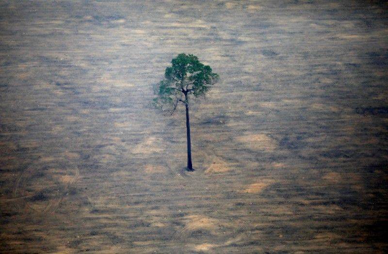 Brazil, reversing course, says will keep fighting Amazon deforestation
