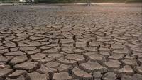 Droughts may affect more than 75% of world’s population by 2050