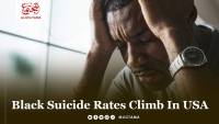Black Suicide Rates Climb in USA