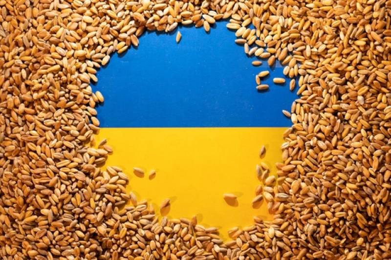 Ukraine&#039;s grain exports down 48.6% so far in 2022/23, says ministry