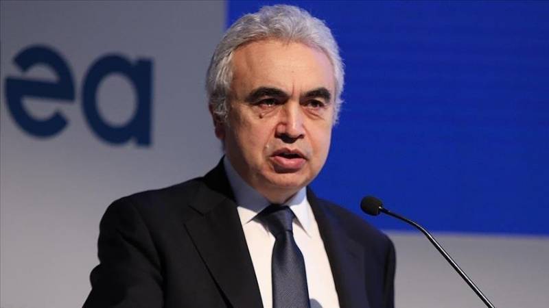 Energy crisis could be turning point for policy making: IEA head