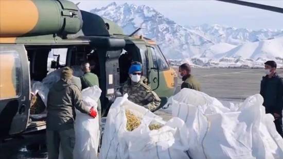 Turkish soldiers leave food for starving goats